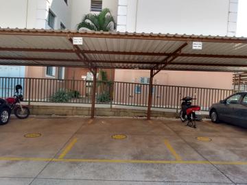 imagem 2 - Apartamento - Padrão imagem 2 - Apartamento - Padrão