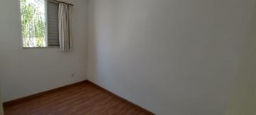 imagem 4 - Apartamento - Padrão imagem 4 - Apartamento - Padrão