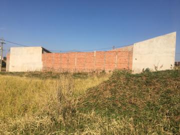 imagem 1 - Terreno - Padrão imagem 1 - Terreno - Padrão