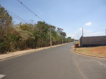 imagem 3 - Terreno - Padrão imagem 3 - Terreno - Padrão