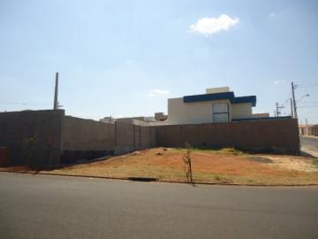 imagem 2 - Terreno - Padrão imagem 2 - Terreno - Padrão