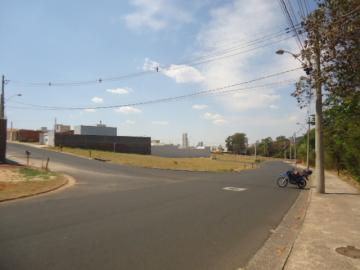 imagem 4 - Terreno - Padrão imagem 4 - Terreno - Padrão