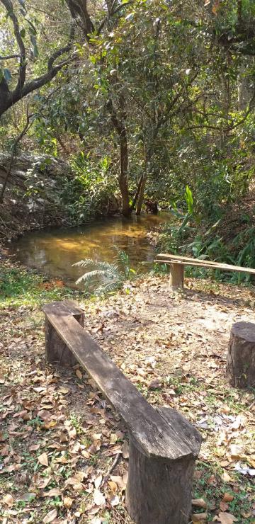 Comprar Rural / Chácara sem Condomínio em São Carlos R$ 1.500.000,00 - Foto 12 Comprar Rural / Chácara sem Condomínio em São Carlos R$ 1.500.000,00 - Foto 12