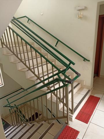 imagem 1 - apartamento com 34,28m² com 1 dormitório em São Carlos - SP imagem 1 - apartamento com 34,28m² com 1 dormitório em São Carlos - SP