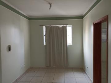imagem 4 - apartamento com 34,28m² com 1 dormitório em São Carlos - SP imagem 4 - apartamento com 34,28m² com 1 dormitório em São Carlos - SP
