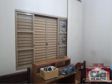 imagem 4 - Casa - Padrão imagem 4 - Casa - Padrão