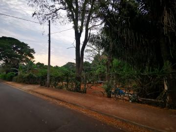 imagem 3 - Rural - Chácara imagem 3 - Rural - Chácara