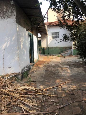 imagem 4 - Casa - Padrão imagem 4 - Casa - Padrão