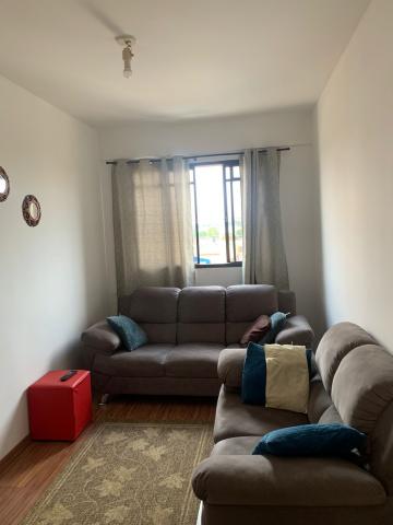 imagem 3 - Apartamento - Padrão imagem 3 - Apartamento - Padrão