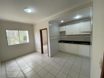 imagem 3 - Apartamento - Padrão imagem 3 - Apartamento - Padrão