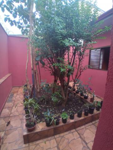 imagem 5 - Casa - Padrão imagem 5 - Casa - Padrão