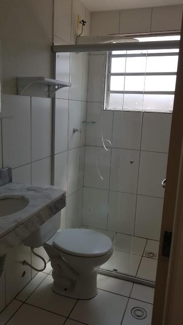 imagem 3 - Apartamento - Padrão imagem 3 - Apartamento - Padrão