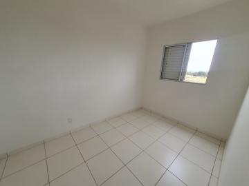 Alugar Apartamento / Padrão em São Carlos R$ 778,00 - Foto 12 Alugar Apartamento / Padrão em São Carlos R$ 778,00 - Foto 12