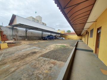 Alugar Apartamento / Kitnet em São Carlos R$ 667,00 - Foto 2 Alugar Apartamento / Kitnet em São Carlos R$ 667,00 - Foto 2