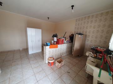 Alugar Apartamento / Kitnet em São Carlos R$ 667,00 - Foto 3 Alugar Apartamento / Kitnet em São Carlos R$ 667,00 - Foto 3