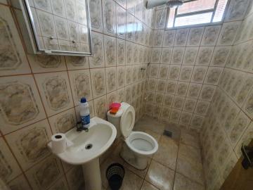 Alugar Apartamento / Kitnet em São Carlos R$ 667,00 - Foto 7 Alugar Apartamento / Kitnet em São Carlos R$ 667,00 - Foto 7