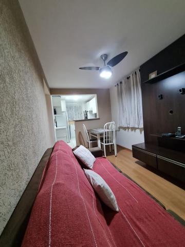 imagem 3 - Apartamento com 2 dormitórios no Recreio São Judas Tadeu próximo a Escola Prof. João Jorge Marmorato em São Carlos imagem 3 - Apartamento com 2 dormitórios no Recreio São Judas Tadeu próximo a Escola Prof. João Jorge Marmorato em São Carlos