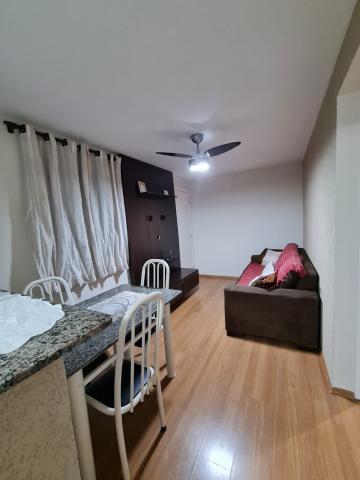 imagem 4 - Apartamento com 2 dormitórios no Recreio São Judas Tadeu próximo a Escola Prof. João Jorge Marmorato em São Carlos imagem 4 - Apartamento com 2 dormitórios no Recreio São Judas Tadeu próximo a Escola Prof. João Jorge Marmorato em São Carlos