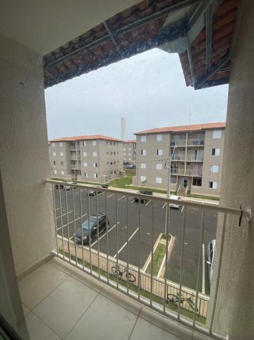 imagem 3 - Apartamento com 2 dormitórios na Vila Rancho Velho próximo ao Supermercado Dia em São Carlos imagem 3 - Apartamento com 2 dormitórios na Vila Rancho Velho próximo ao Supermercado Dia em São Carlos