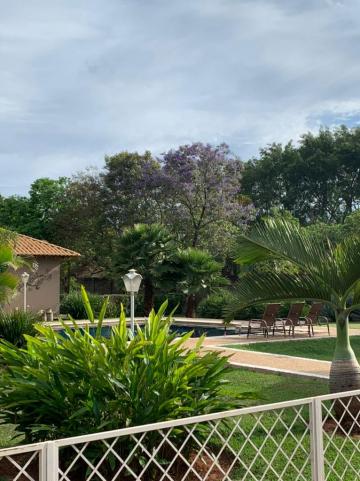 imagem 2 - Casa - Padrão imagem 2 - Casa - Padrão