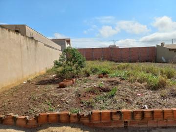 imagem 1 - Terreno - Lote imagem 1 - Terreno - Lote