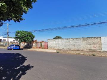 Alugar Terreno / Padrão em Araraquara. apenas R$ 1.000,00