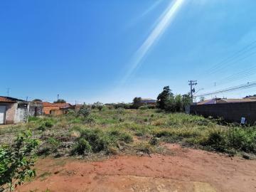 imagem 5 - Terreno - Padrão imagem 5 - Terreno - Padrão