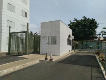 imagem 4 - Apartamento - Padrão imagem 4 - Apartamento - Padrão