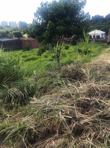 imagem 1 - Terreno - Padrão imagem 1 - Terreno - Padrão
