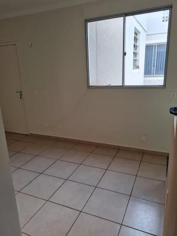 Alugar Apartamento / Padrão em Araraquara. apenas R$ 118.000,00