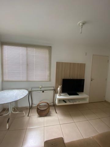 imagem 2 - Apartamento com 2 dormitórios no Jardim Nova São Carlos próximo ao Sesi, ao Serasa e a Faber Castel em São Carlos imagem 2 - Apartamento com 2 dormitórios no Jardim Nova São Carlos próximo ao Sesi, ao Serasa e a Faber Castel em São Carlos