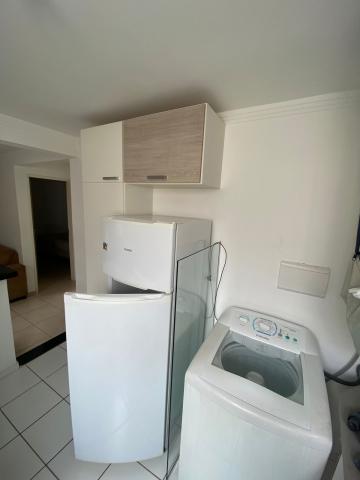 imagem 5 - Apartamento com 2 dormitórios no Jardim Nova São Carlos próximo ao Sesi, ao Serasa e a Faber Castel em São Carlos imagem 5 - Apartamento com 2 dormitórios no Jardim Nova São Carlos próximo ao Sesi, ao Serasa e a Faber Castel em São Carlos