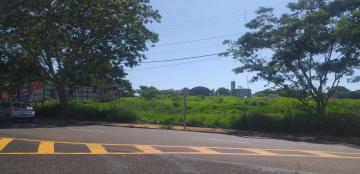 imagem 5 - Terreno - Área imagem 5 - Terreno - Área