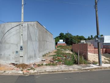 imagem 1 - Terreno - Padrão imagem 1 - Terreno - Padrão