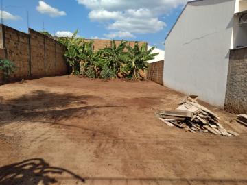 Araraquara - Parque Sao Paulo (Vila Xavier) - Terreno - Residencial - Venda