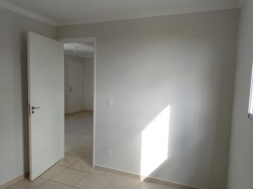 apartamento de dois dormitórios.