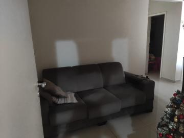 imagem 2 - Apartamento - Padrão imagem 2 - Apartamento - Padrão