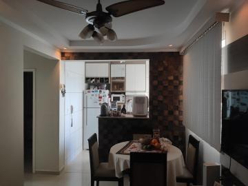 imagem 3 - Apartamento - Padrão imagem 3 - Apartamento - Padrão