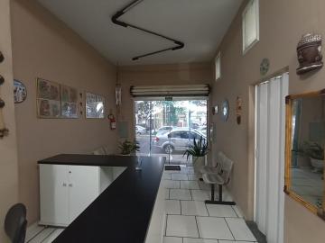 imagem 4 - Casa - Padrão imagem 4 - Casa - Padrão