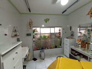 imagem 5 - Casa - Padrão imagem 5 - Casa - Padrão