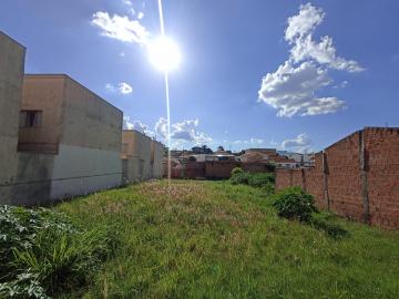 Primeira quadra perto lagoa Sereno.