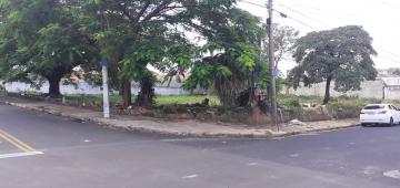 imagem 2 - Terreno - Padrão imagem 2 - Terreno - Padrão