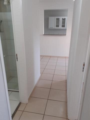 imagem 5 - Apartamento com 1 dormitório e 1 suíte no Jardim Paraíso próximo ao Hospital Santa Casa em São Carlos imagem 5 - Apartamento com 1 dormitório e 1 suíte no Jardim Paraíso próximo ao Hospital Santa Casa em São Carlos