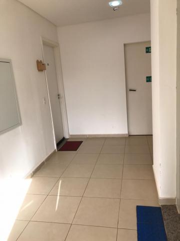 imagem 3 - Apartamento - Padrão imagem 3 - Apartamento - Padrão