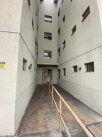imagem 3 - Apartamento Flat com 1 dormitório no Jardim Santa Paula próximo a USP em São Carlos imagem 3 - Apartamento Flat com 1 dormitório no Jardim Santa Paula próximo a USP em São Carlos