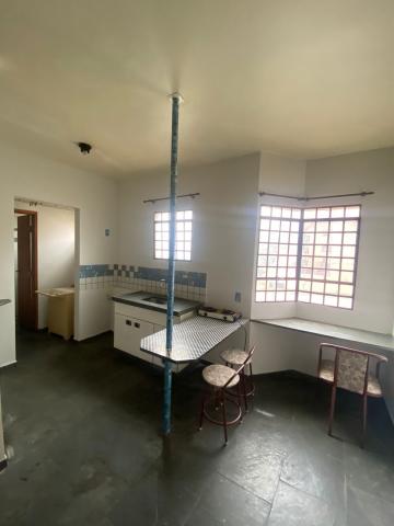 imagem 5 - Apartamento Flat com 1 dormitório no Jardim Santa Paula próximo a USP em São Carlos imagem 5 - Apartamento Flat com 1 dormitório no Jardim Santa Paula próximo a USP em São Carlos