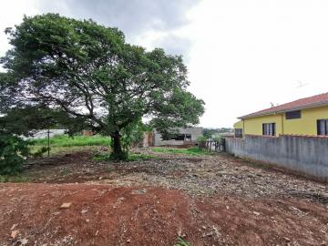 imagem 2 - Terreno - Padrão imagem 2 - Terreno - Padrão