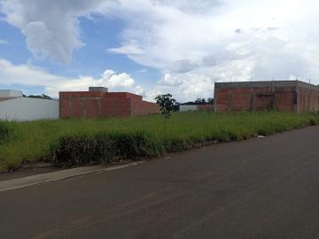 imagem 1 - Terreno - Padrão imagem 1 - Terreno - Padrão