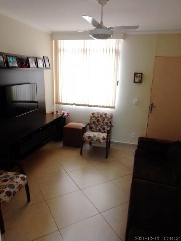 imagem 2 - Apartamento - Padrão imagem 2 - Apartamento - Padrão