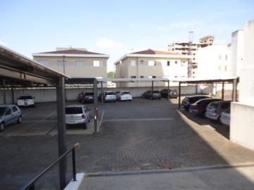 imagem 3 - Apartamento com 2 dormitórios no Jardim Santa Paula próximo a USP em São Carlos imagem 3 - Apartamento com 2 dormitórios no Jardim Santa Paula próximo a USP em São Carlos